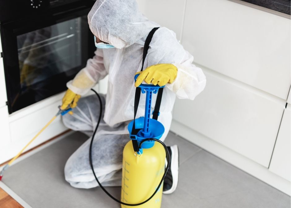 Altınordu Ev Böcek İlaçlama